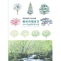 Amazon.co.jp: 野村重存 作品集 : 野村 重存: Japanese Books